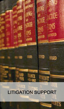 Litigation Support